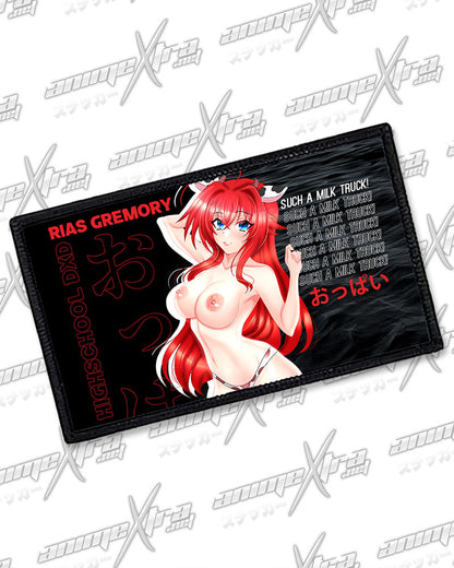 Cowgirl Rias Rectangle Patches