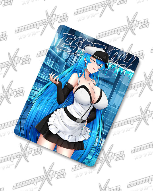 Esdeath Maid Magnets