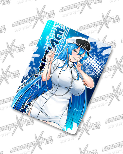Esdeath Nurse Magnets