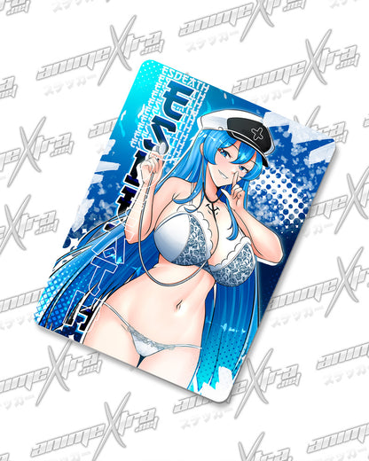 Esdeath Nurse Magnets