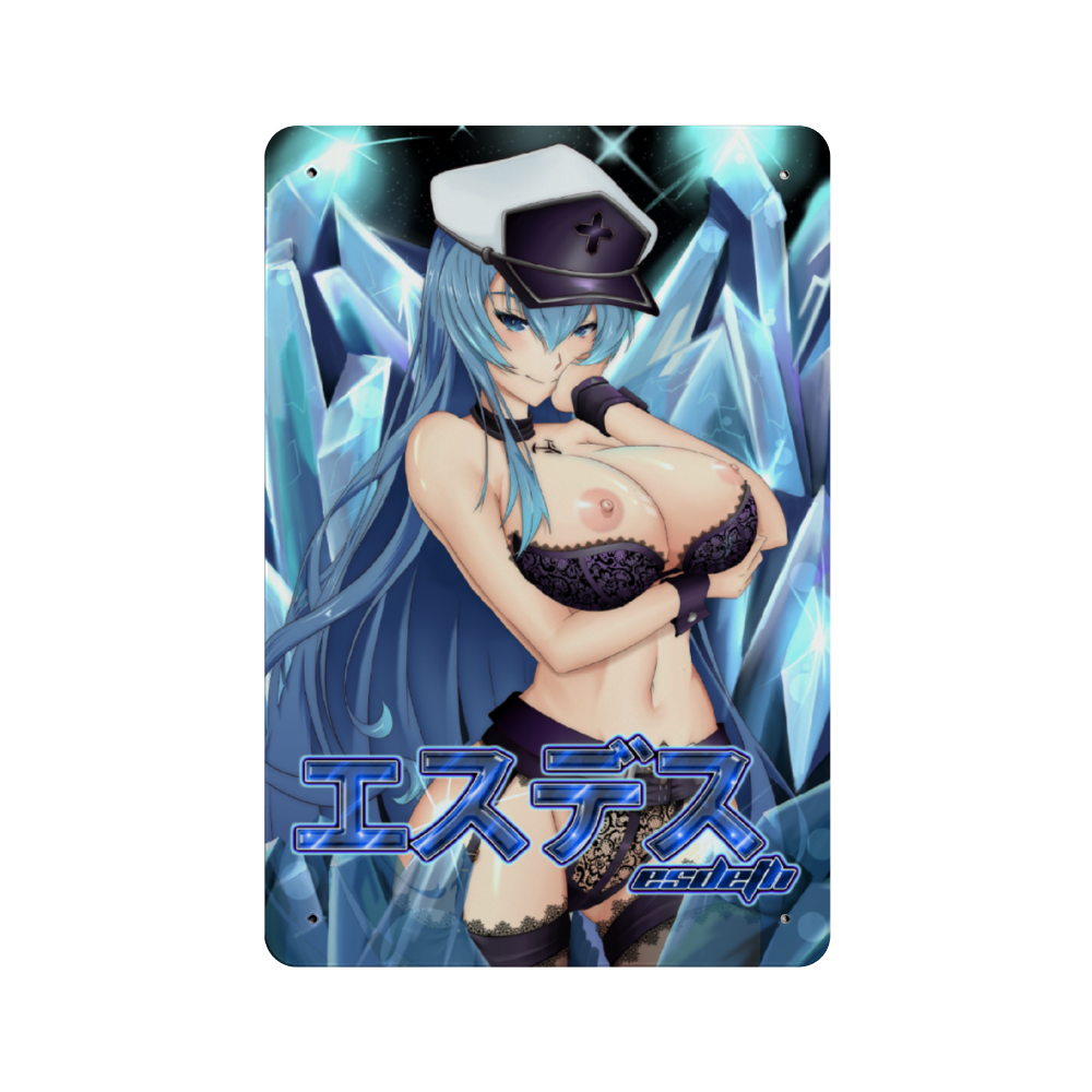 Esdeath Metal Sign NSFW 7.9" x 11.8"